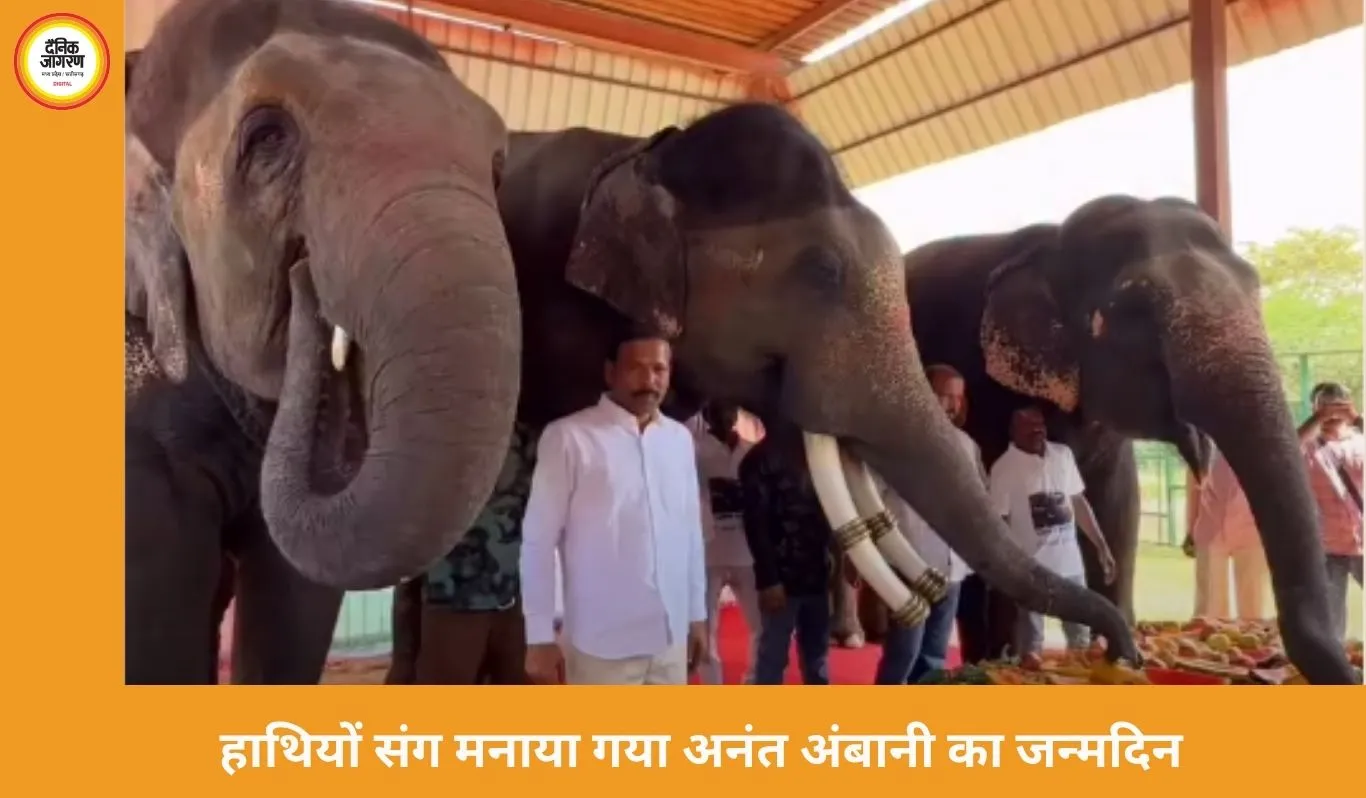 अनंत अंबानी का जन्मदिन जयपुर में खास अंदाज में मना: हाथियों संग काटा केक, 3000 किलो फलों की दावत बनी आकर्षण