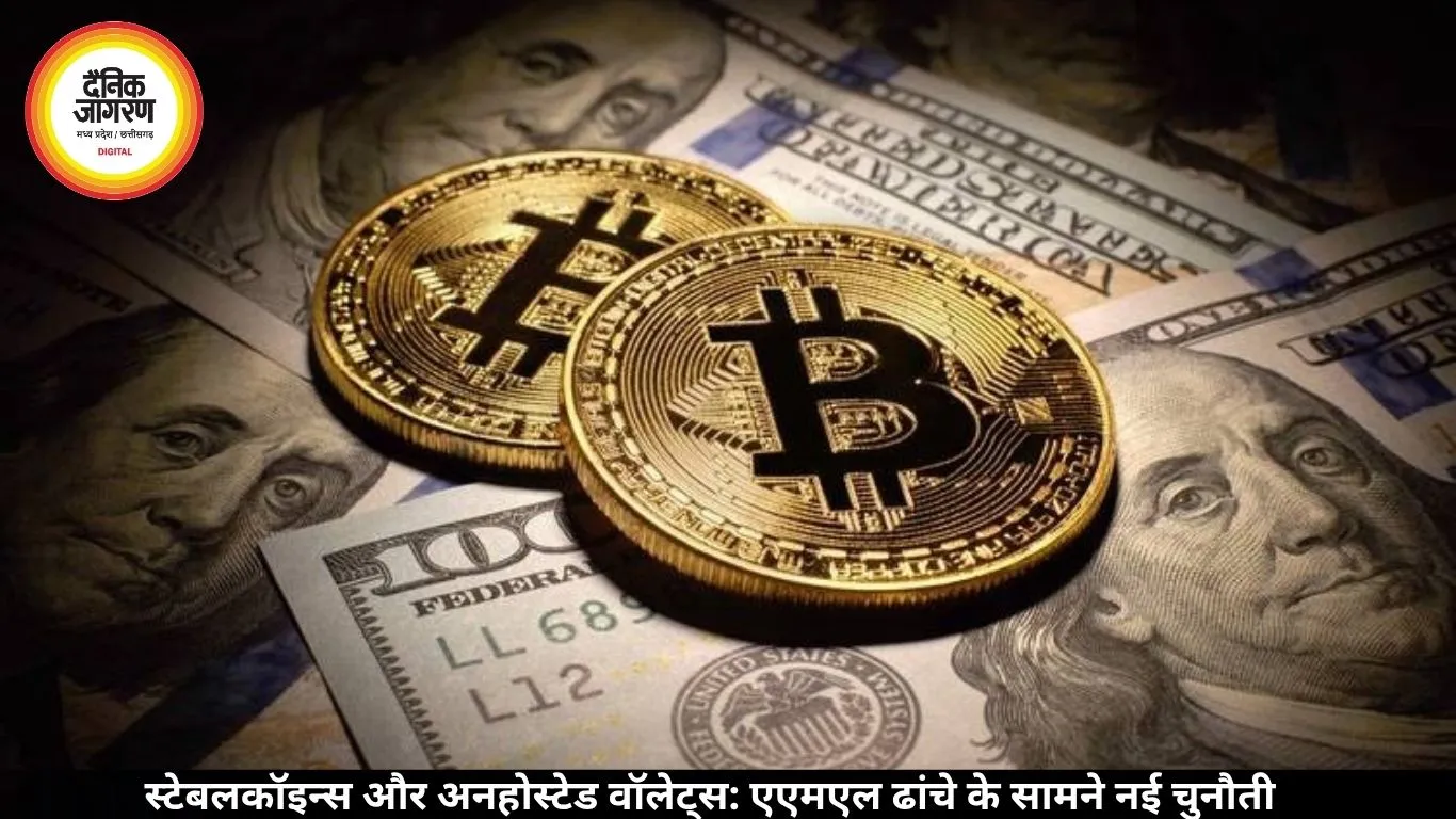 स्टेबलकॉइन्स और अनहोस्टेड वॉलेट्स: एएमएल ढांचे के सामने नई चुनौती