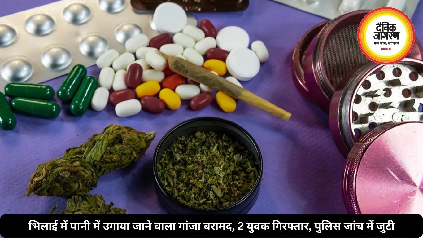 भिलाई में पानी में उगाया जाने वाला गांजा बरामद, 2 युवक गिरफ्तार, पुलिस जांच में जुटी