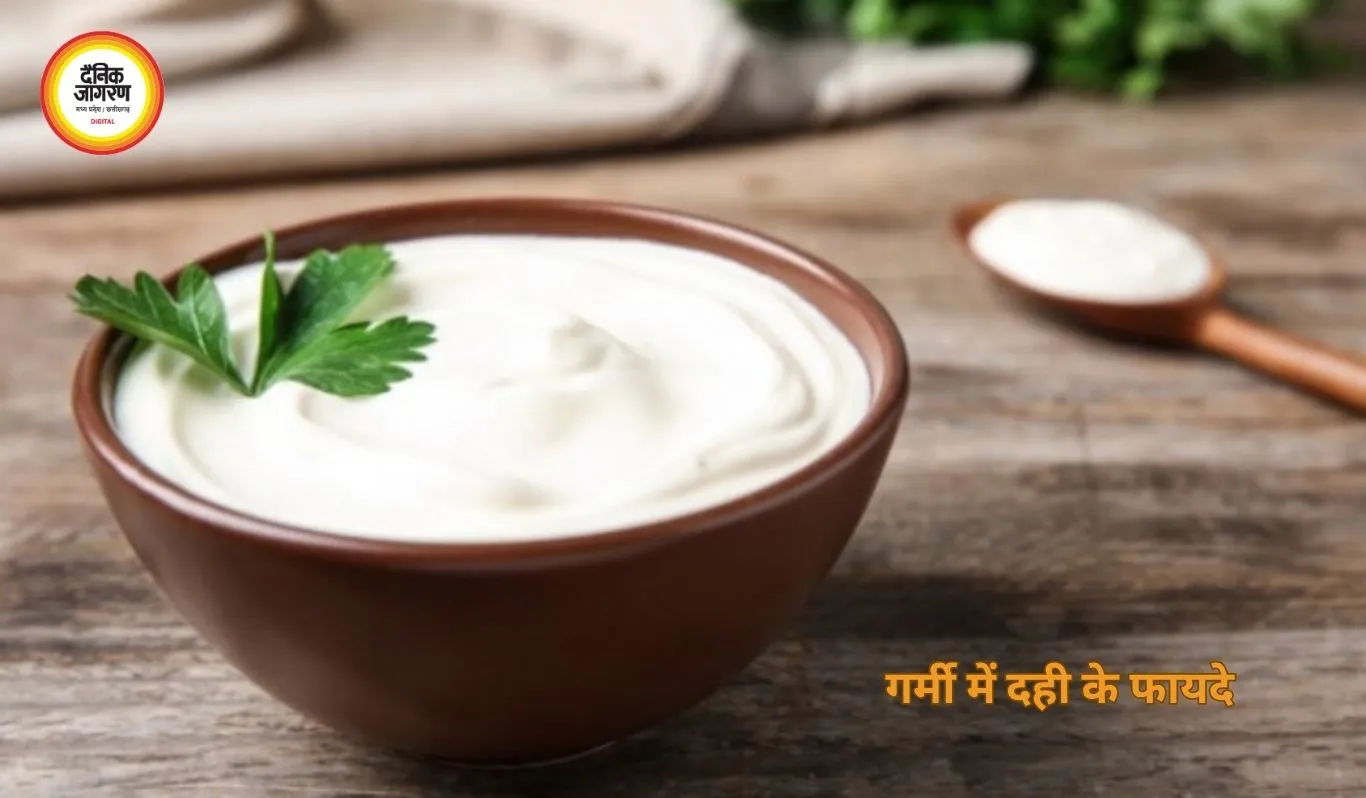 गर्मी में दही के फायदे: पाचन से लेकर इम्यूनिटी तक वरदान
