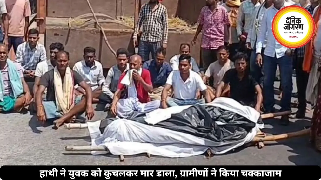 हाथी ने युवक को कुचलकर मार डाला, ग्रामीणों ने किया चक्काजाम