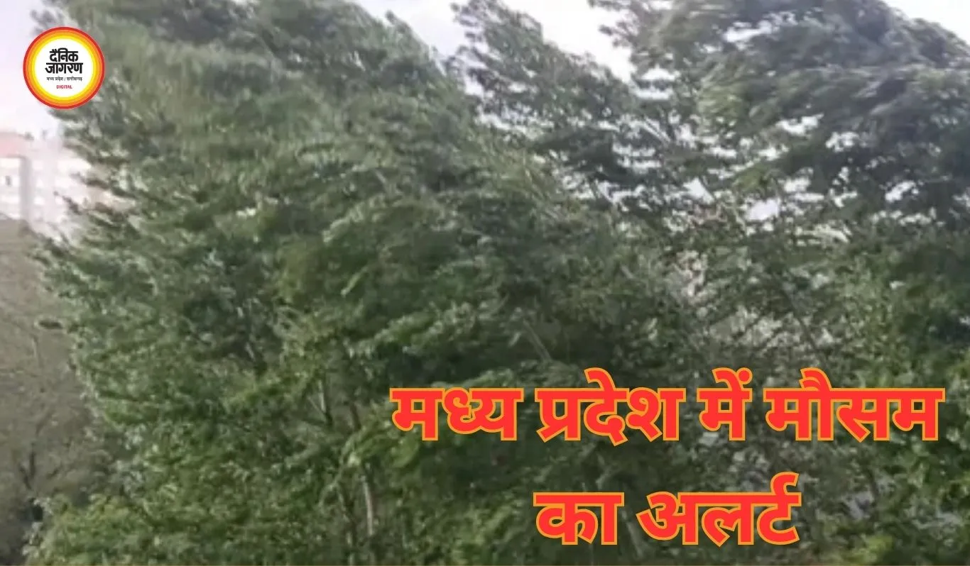 मध्य प्रदेश में मौसम का अलर्ट: 42 जिलों में आंधी-बारिश-ओलावृष्टि, 9 जिलों में ऑरेंज चेतावनी
