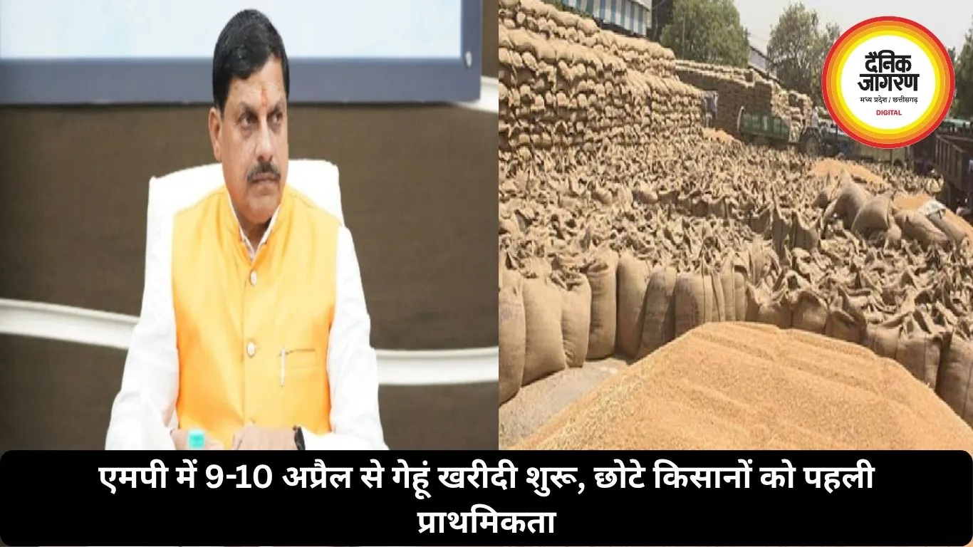 एमपी में 9-10 अप्रैल से गेहूं खरीदी शुरू, छोटे किसानों को पहली प्राथमिकता