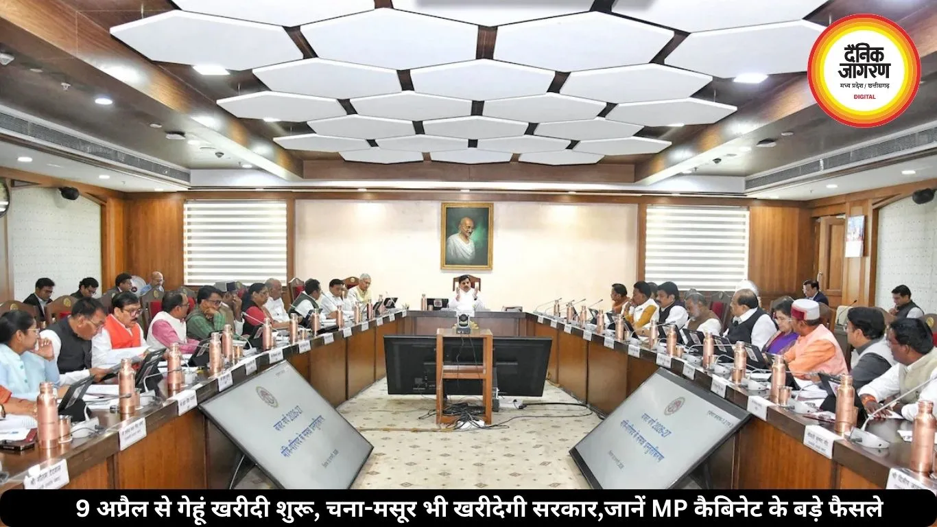 9 अप्रैल से गेहूं खरीदी शुरू, चना-मसूर भी खरीदेगी सरकार, जानें MP कैबिनेट के बड़े फैसले