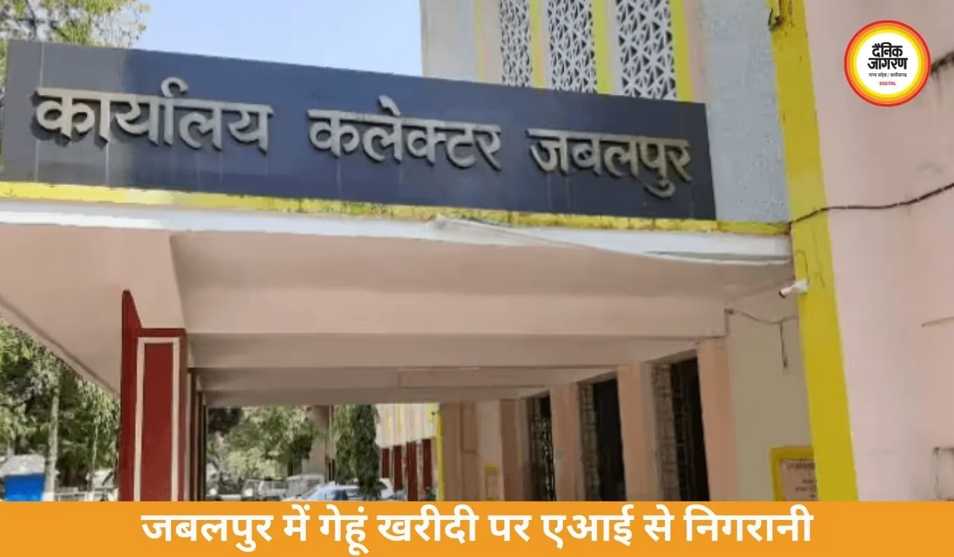 जबलपुर में गेहूं उपार्जन की निगरानी में जेनरेटिव एआई का इस्तेमाल, 47 ब्लैकलिस्ट समितियों की समीक्षा