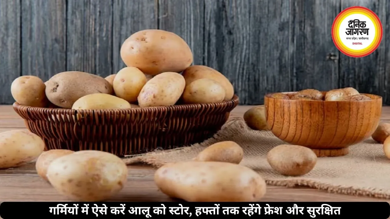 गर्मियों में ऐसे करें आलू को स्टोर, हफ्तों तक रहेंगे फ्रेश और सुरक्षित