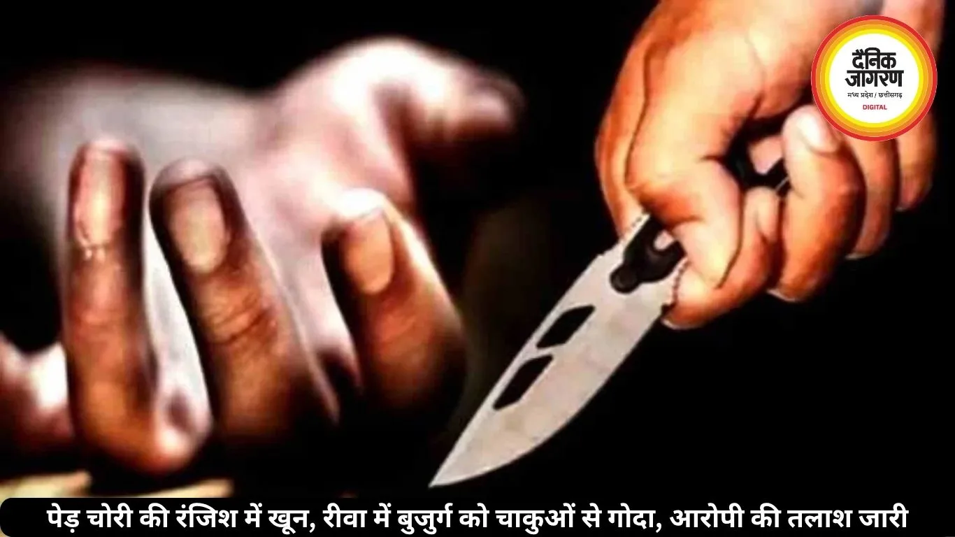 पेड़ चोरी की रंजिश में खून, रीवा में बुजुर्ग को चाकुओं से गोदा, आरोपी की तलाश जारी