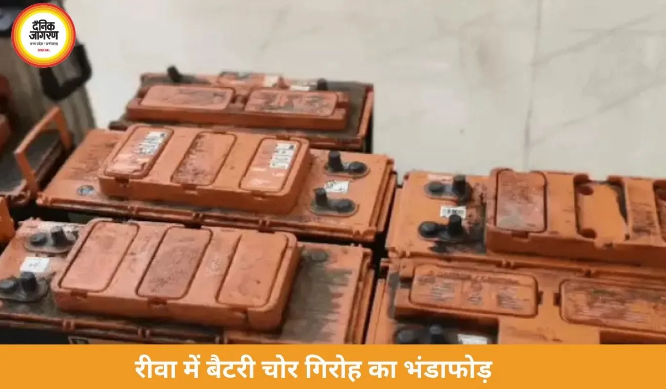 रीवा में अंतरराज्यीय बैटरी चोर गिरोह का भंडाफोड़, तीन गिरफ्तार