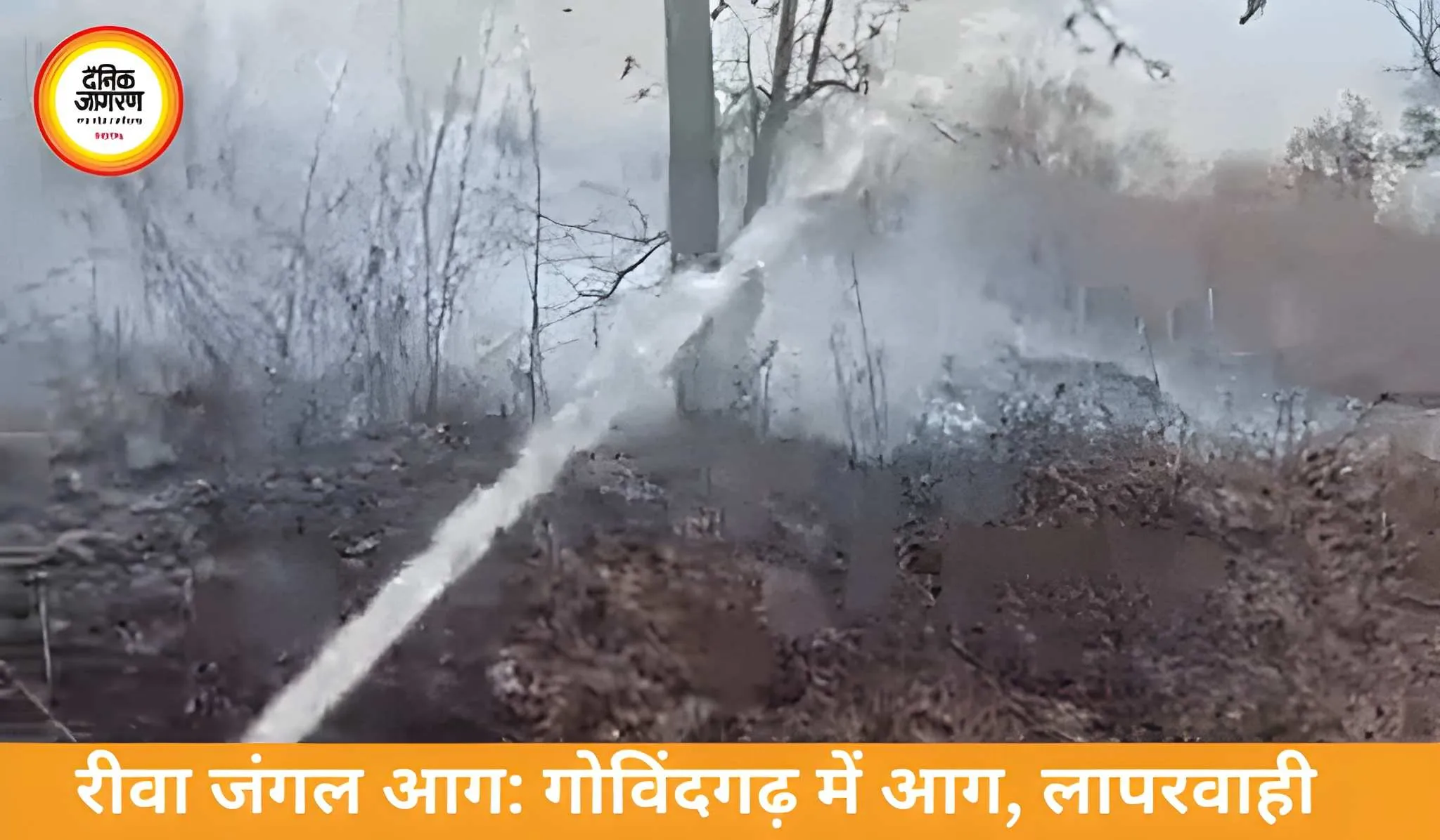 रीवा के गोविंदगढ़ जंगलों में आग, मानवीय लापरवाही की आशंका