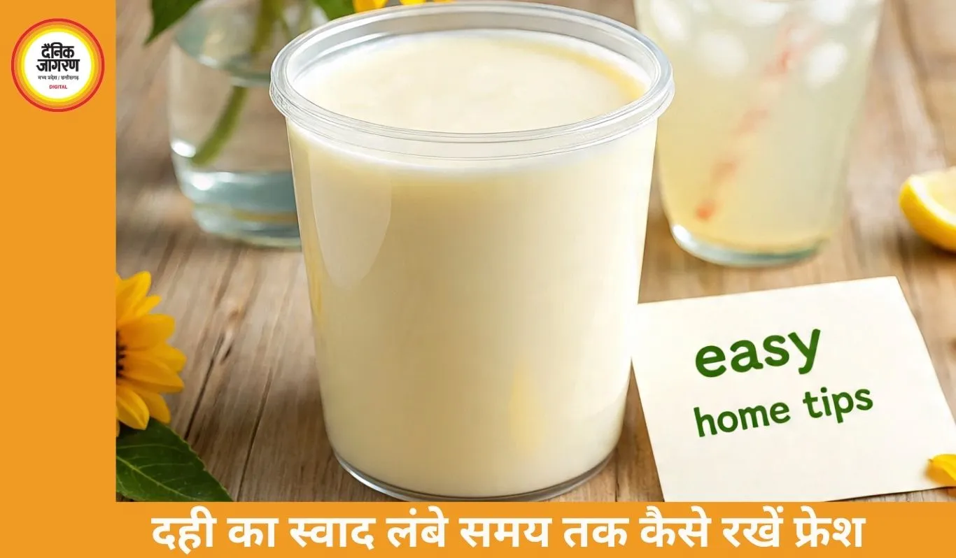 गर्मी में दही जल्दी खट्टा होने से बचाएं: अपनाएं ये आसान घरेलू टिप्स, लंबे समय तक रहेगा ताजा और स्वादिष्ट