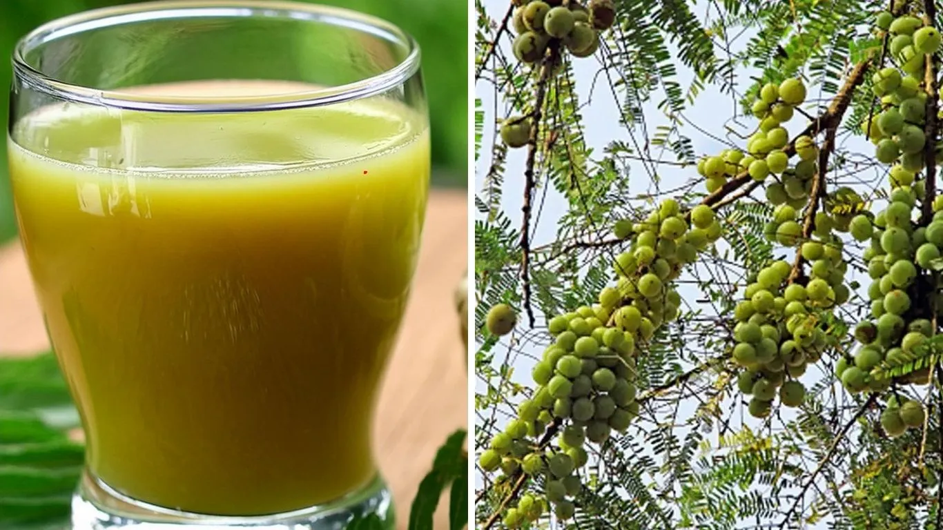 सुबह खाली पेट आंवला जूस पीना फायदेमंद, वजन कंट्रोल के साथ कई बीमारियों से भी बचाव