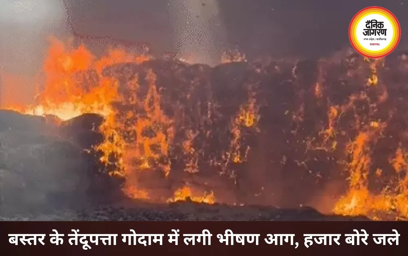 बस्तर के तेंदूपत्ता गोदाम में भीषण आग, हजार बोरे राख; बीजापुर मामले में DFO हटाए गए