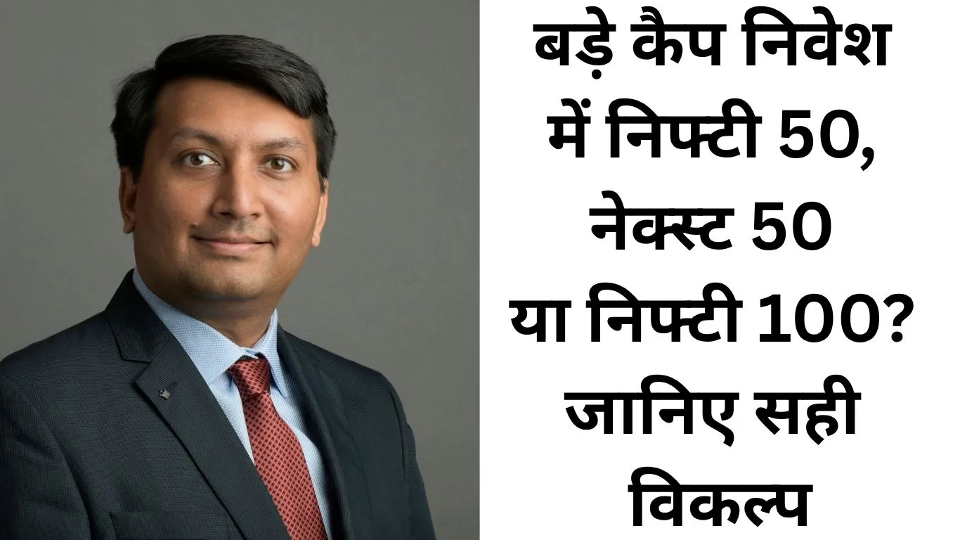 बड़े कैप निवेश में सही विकल्प कैसे चुनें