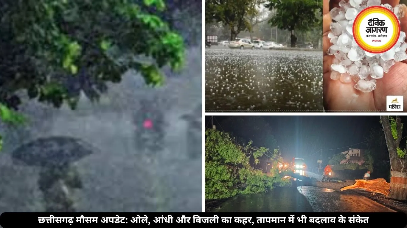 छत्तीसगढ़ में मौसम का कहर: रायपुर में गिरे ओले, तेज आंधी से उड़ें होर्डिंग्स और गिरे पेड़, कई जिलों में हुआ नुकसान