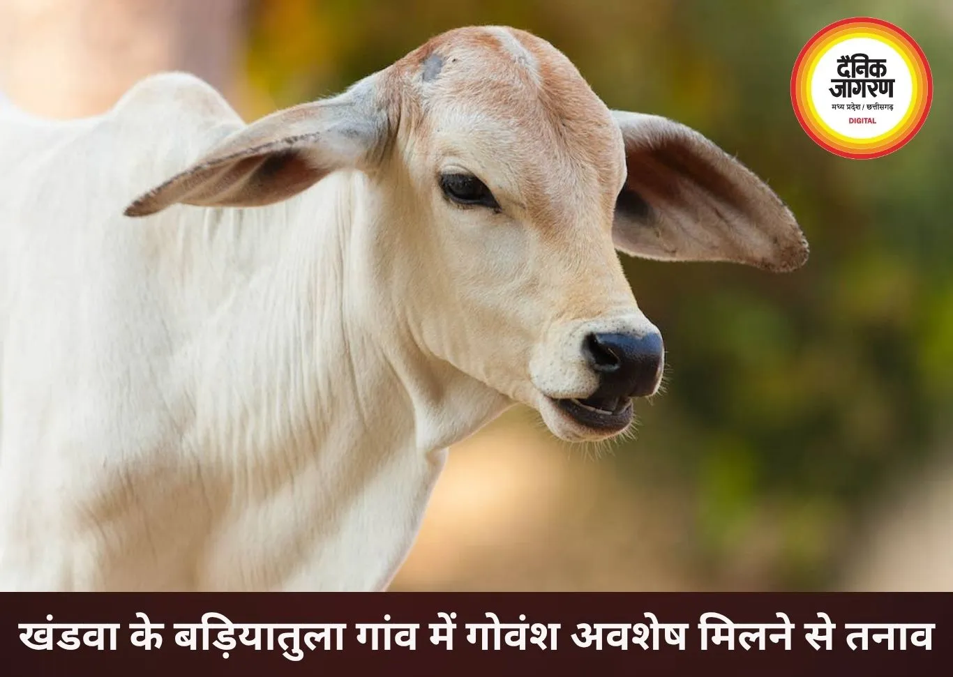 खंडवा के बड़ियातुला गांव में अवशेष मिलने से तनाव फैला, पुलिस तैनात