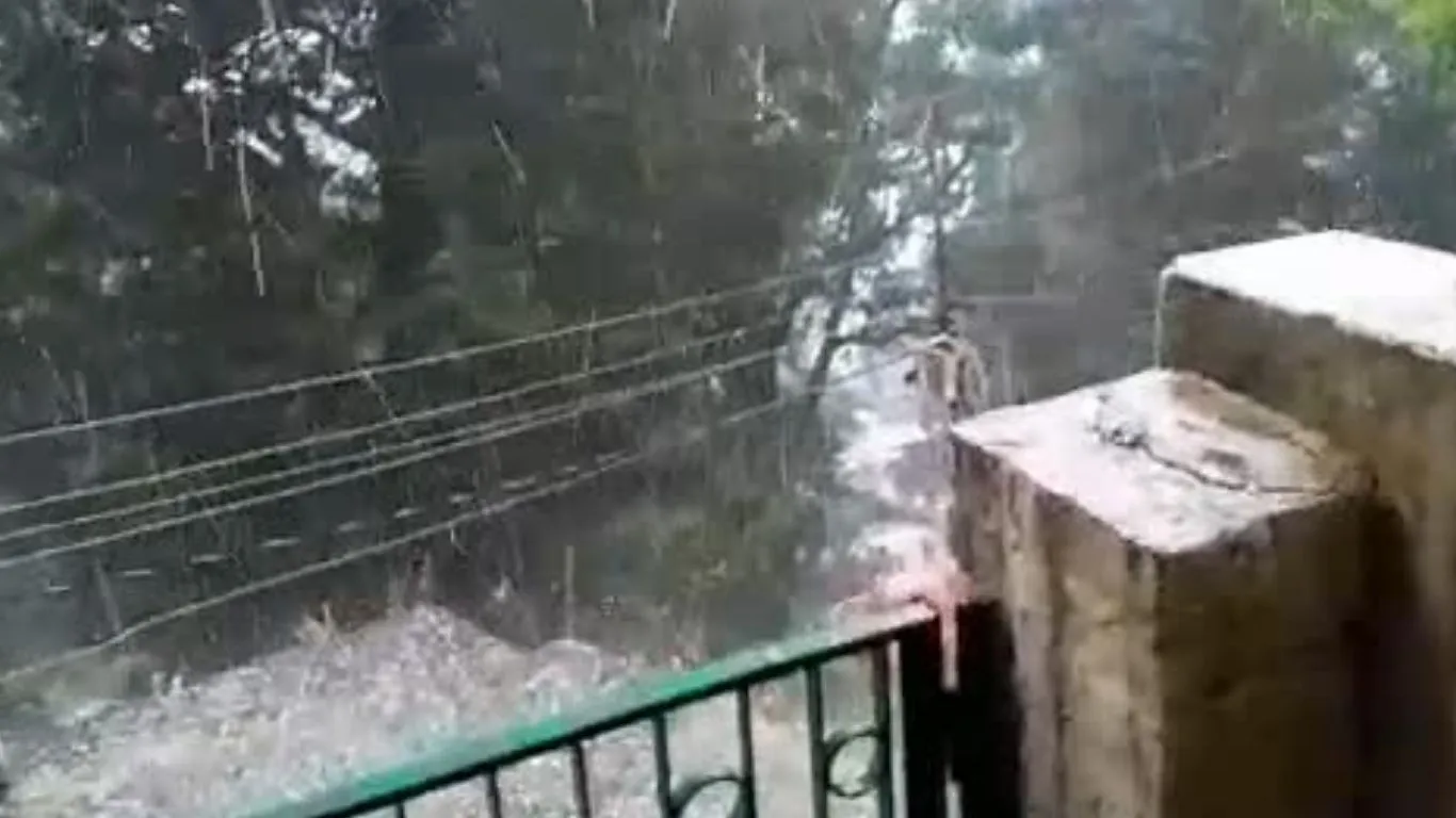 VIDEO : नैनीताल में अचानक बदला मौसम, तेज आंधी और ओलावृष्टि से जनजीवन प्रभावित