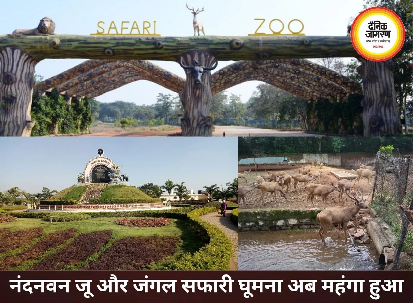 नंदनवन जू और जंगल सफारी घूमना हुआ महंगा, टिकट दरों में बड़ा इजाफा