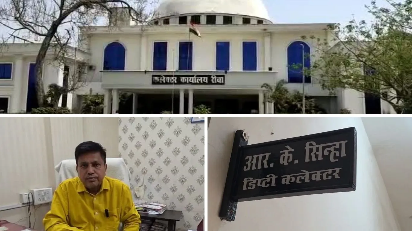 रीवा में 1 मई से डिजिटल जनगणना का प्रथम चरण शुरू, 3700 कर्मचारी तैनात 