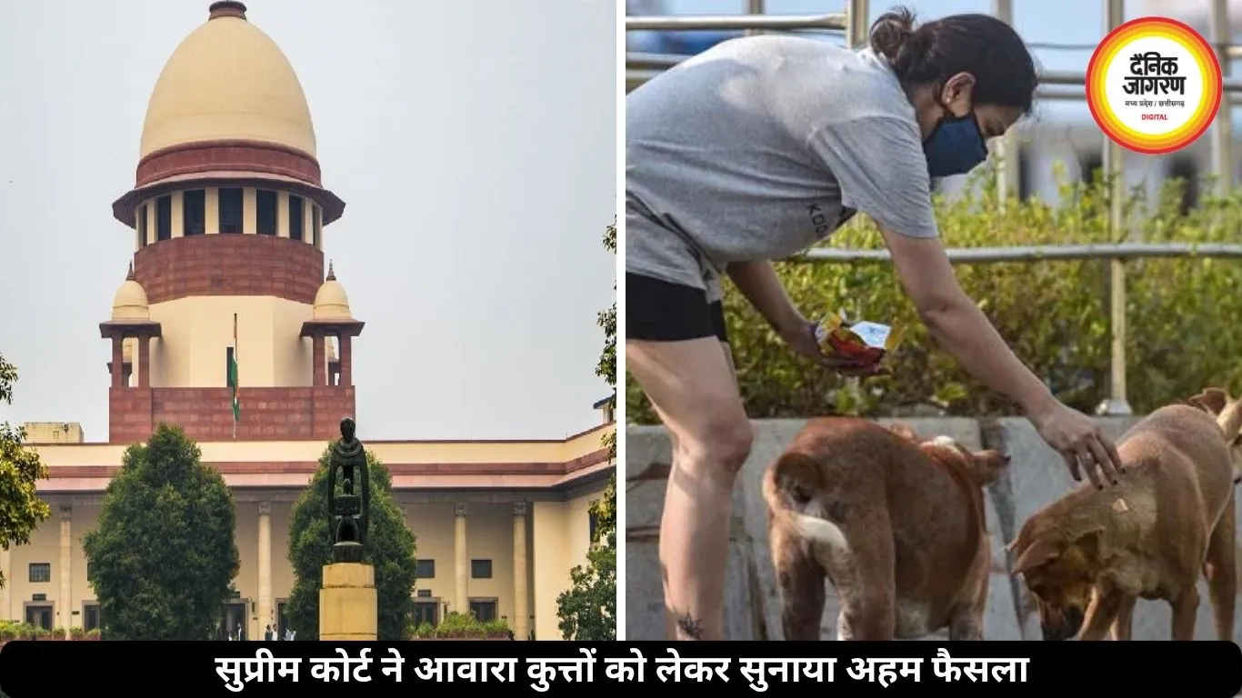 सुप्रीम कोर्ट का बड़ा आदेश: सार्वजनिक जगहों से हटेंगे आवारा कुत्ते, सड़कों पर खाना खिलाना भी बंद