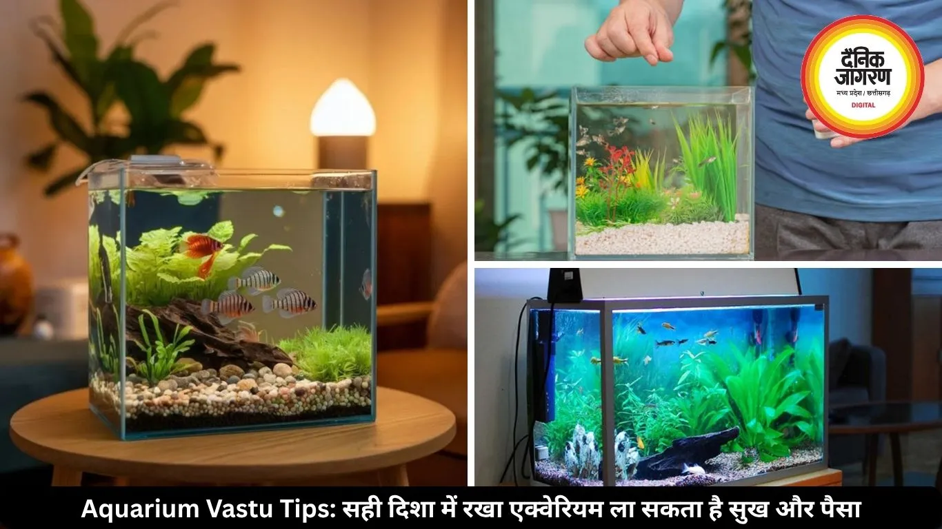 घर में एक्वेरियम रखने से पहले जान लें वास्तु नियम, वरना हो सकता है नुकसान