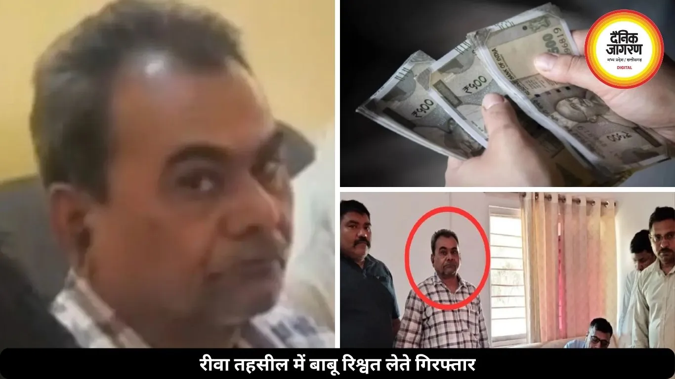रीवा तहसील कार्यालय में रिश्वत लेते बाबू गिरफ्तार, 80 हजार मांगने का आरोप