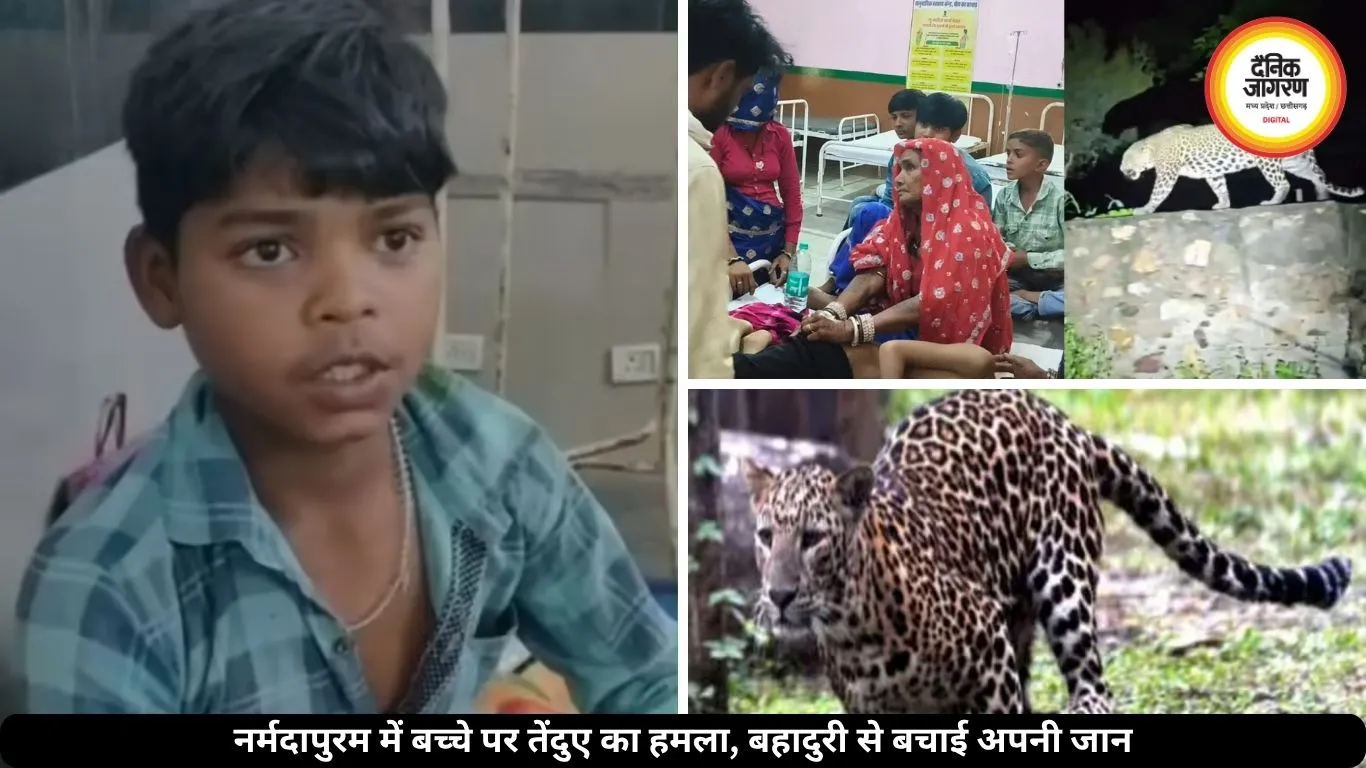 खेत में खेल रहे 13 साल के बच्चे पर तेंदुए ने किया हमला, बहादुरी से मुकाबला कर बचाई अपनी जान