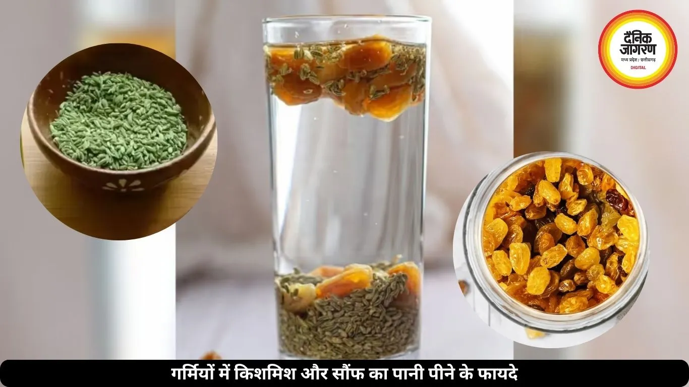 गर्मी में रामबाण घरेलू ड्रिंक: किशमिश-सौंफ पानी पीने से मिलते हैं गजब के फायदे, जानें कैसे आजमाएं