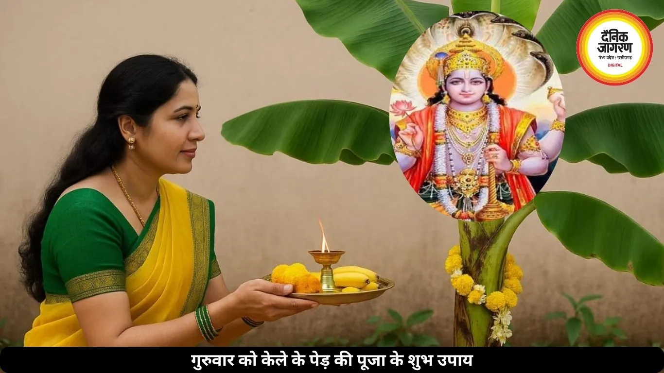गुरुवार को केले के पेड़ में चढ़ाएं ये 5 चीजें, गुरु ग्रह देंगे शुभ फल और खुलेंगे तरक्की के रास्ते