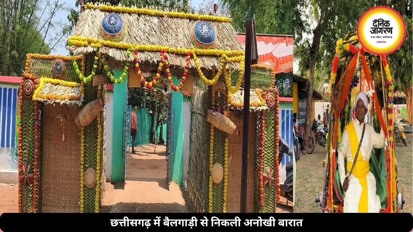ना DJ, ना लग्जरी कार... बैलगाड़ी पर बारात लेकर गया दूल्हा, लोगों ने कहा- यही असली शादी