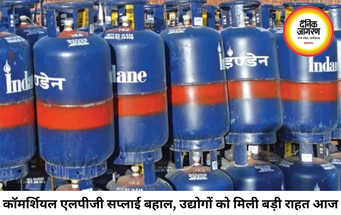 कॉमर्शियल LPG सप्लाई पर लगी पाबंदियां हटीं, अब 100% गैस उपलब्ध कराएगी सरकार