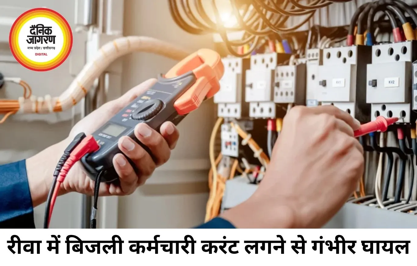 रीवा में 11 केवी लाइन पर काम कर रहे कर्मचारी को करंट, खंभे से गिरकर गंभीर घायल
