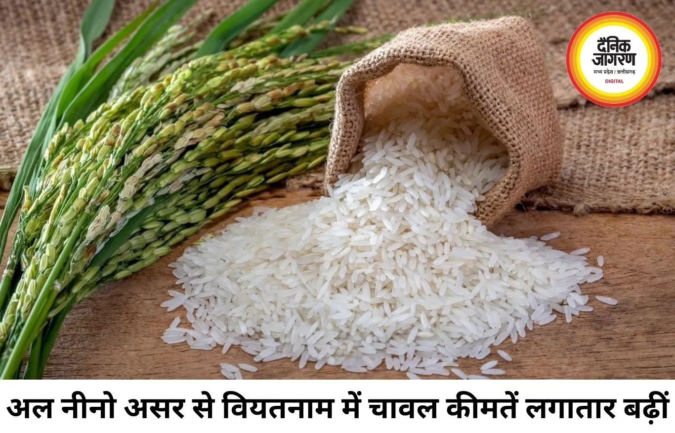 मौसम की मार से एशियाई चावल बाजार में हलचल, भारत में कीमतें फिलहाल स्थिर