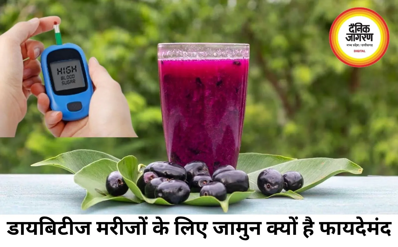 डायबिटीज मरीजों के लिए क्यों खास है जामुन? ब्लड शुगर कंट्रोल से लेकर दिल की सेहत तक पहुंचाता फायदे