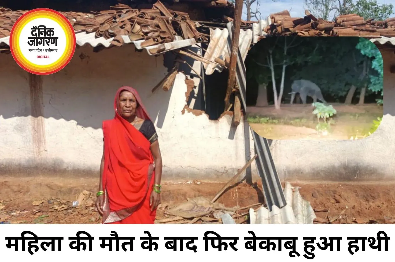 महिला को कुचलने के बाद फिर बेकाबू हुआ लोनर हाथी, दो मकान तोड़े, ग्रामीणों में दहशत