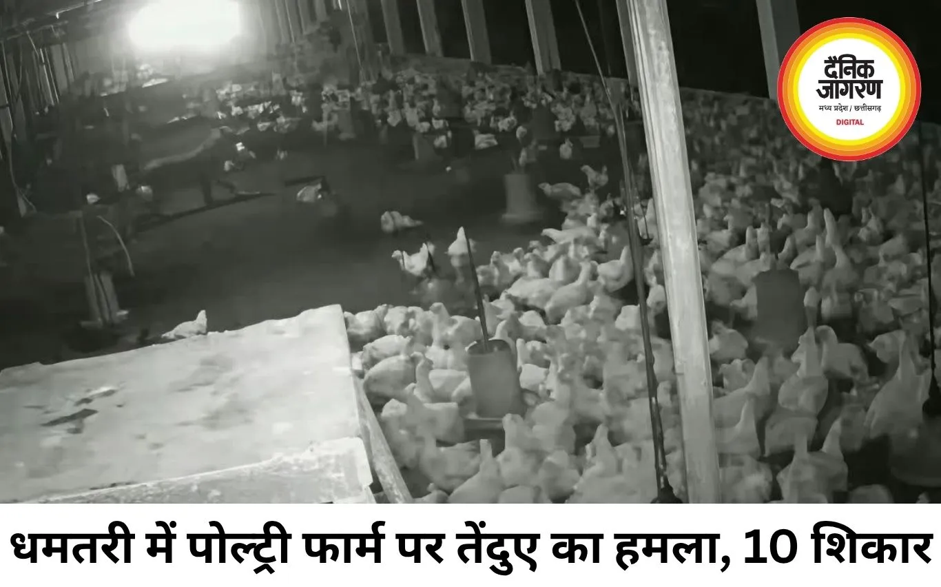 पोल्ट्री फार्म में घुसा तेंदुआ, 10 मुर्गियों का किया शिकार