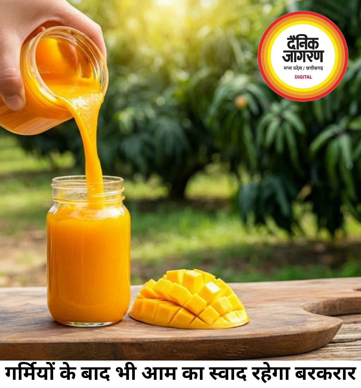 गर्मियां खत्म होने के बाद भी ले सकेंगे आम का मजा, स्टोर करने के लिए अपनाएं ये आसान ट्रिक