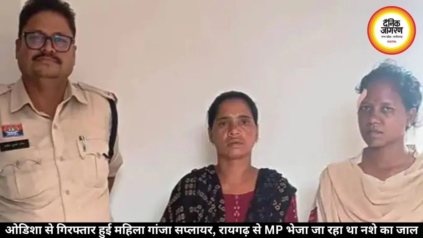 ओडिशा महिला गांजा सप्लायर गिरफ्तार, रायगढ़ से MP था नेटवर्क
