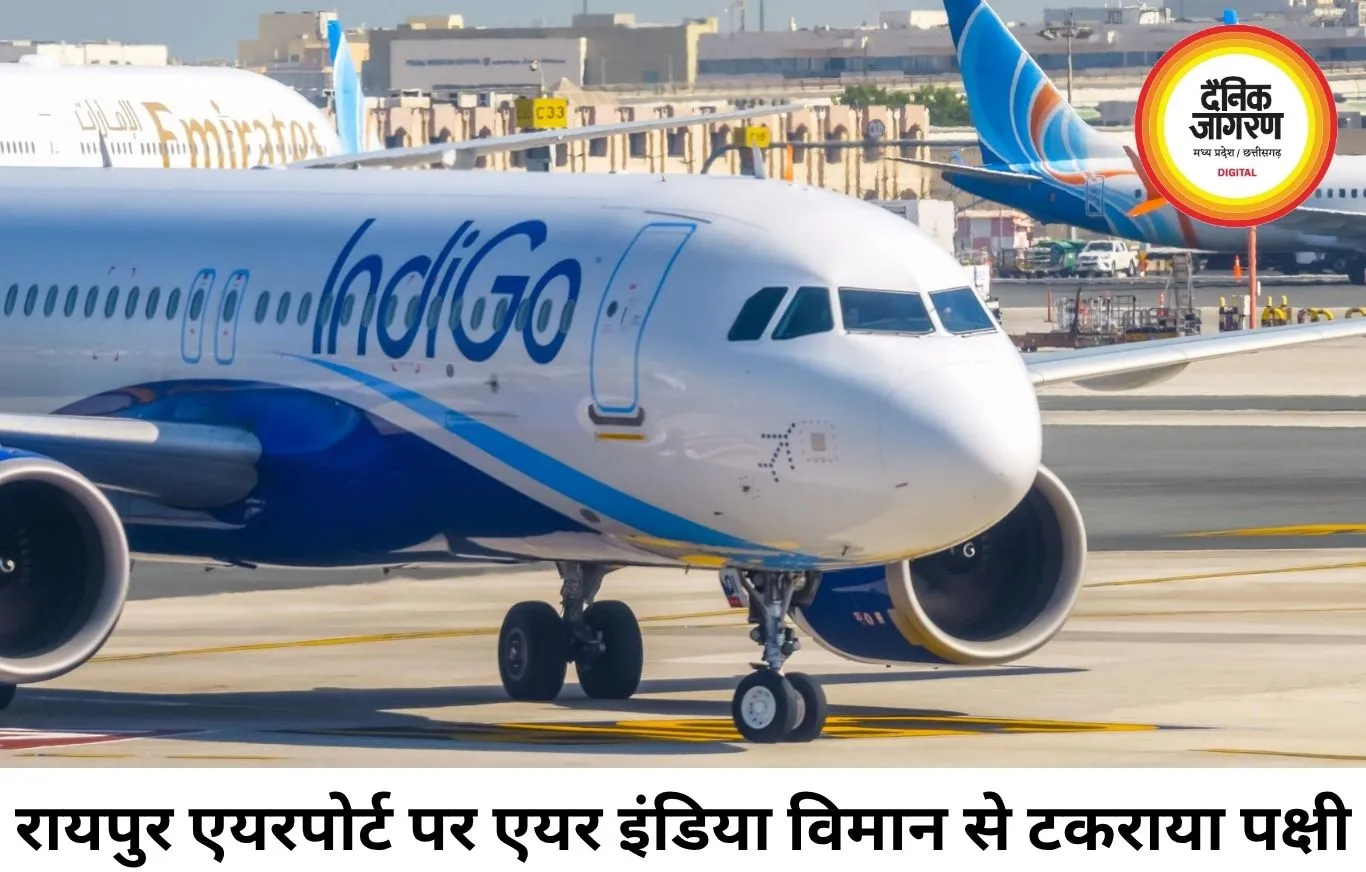 रायपुर एयरपोर्ट पर एयर इंडिया विमान से टकराया पक्षी, उड़ानें हुईं प्रभावित
