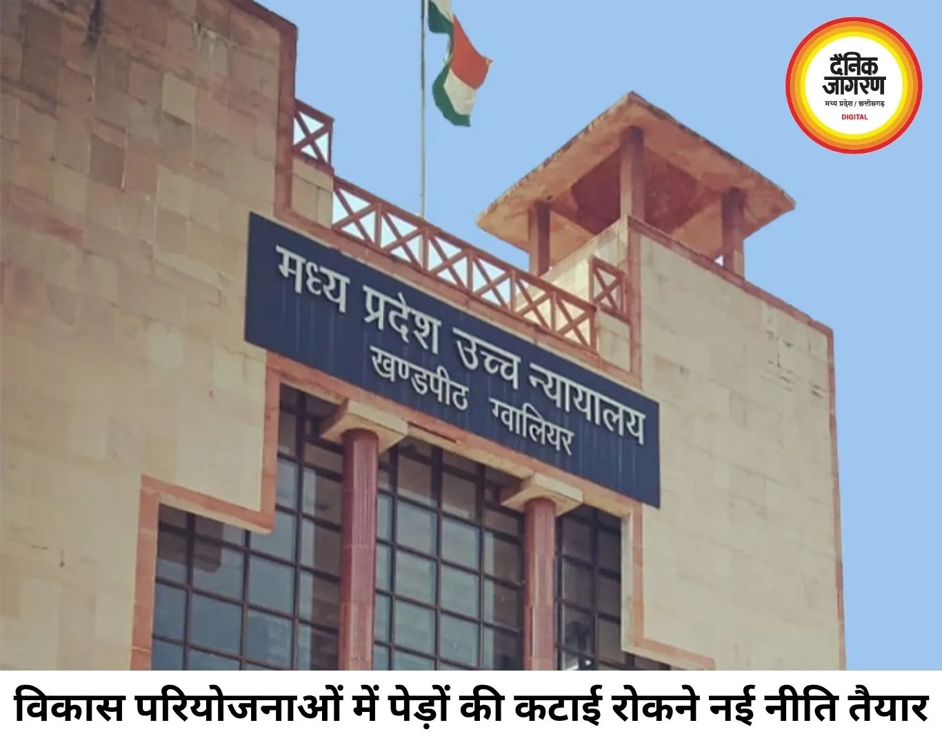 विकास परियोजनाओं में पेड़ों की कटाई पर सख्ती, हाईकोर्ट में पेश हुई ट्री ट्रांसलोकेशन पॉलिसी-2026