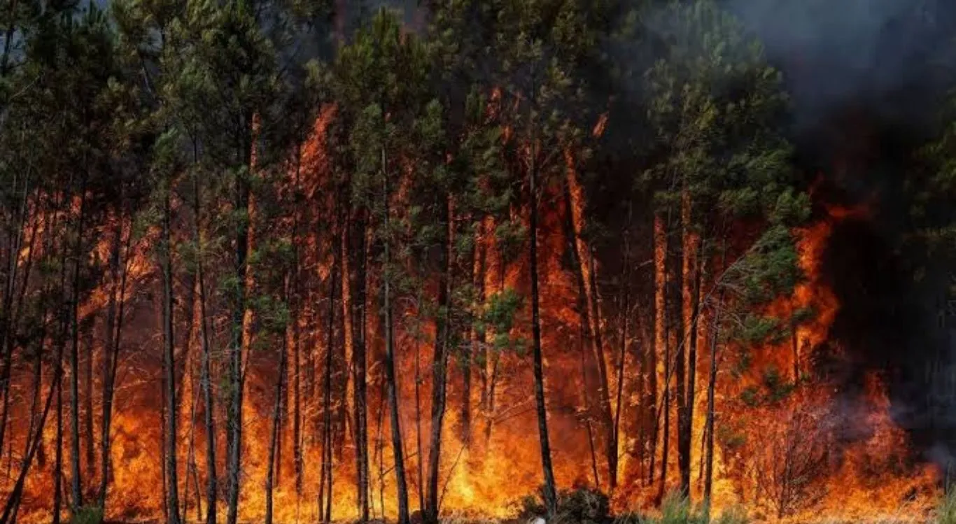Andalusia Fire