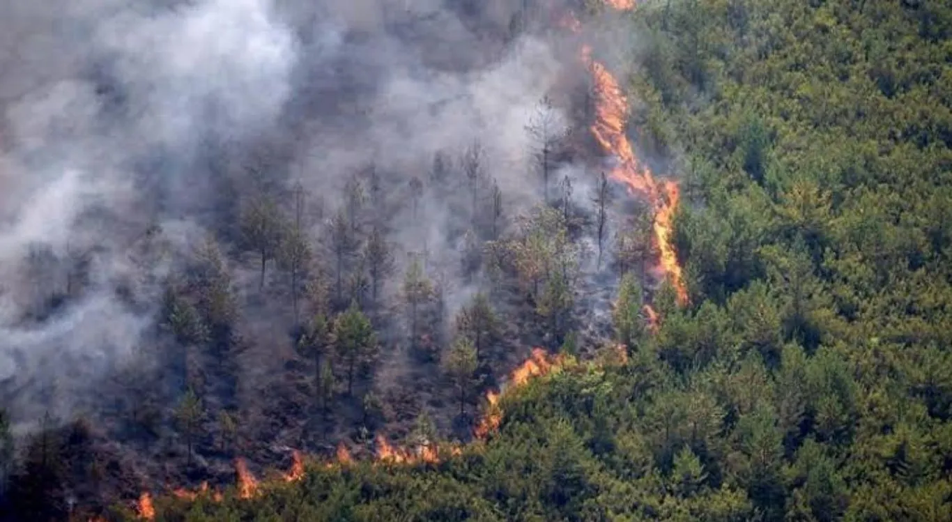 Andalusia Fire