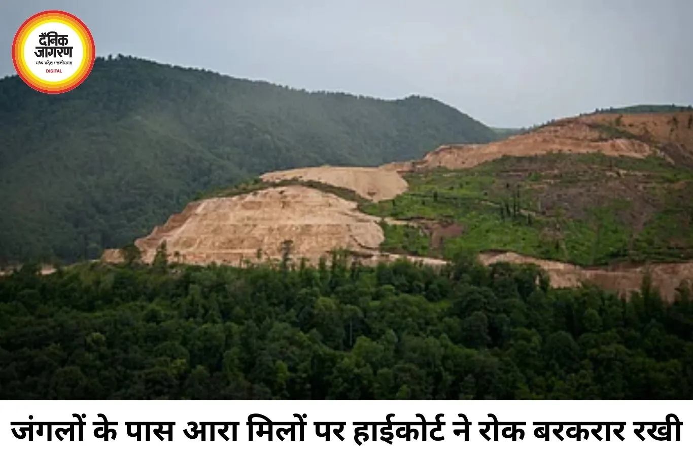 जंगलों के 10 किमी दायरे में आरा मिलों पर रोक बरकरार, हाईकोर्ट ने 19 याचिकाएं खारिज कीं