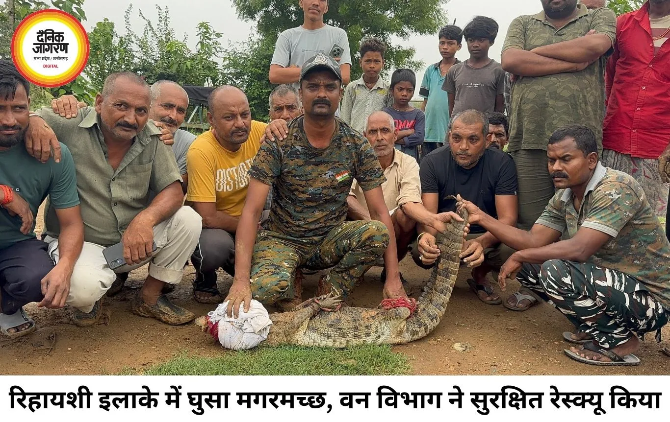 रिहायशी इलाके में घुसा मगरमच्छ, वन विभाग ने त्वरित रेस्क्यू कर सोन घड़ियाल अभयारण्य में छोड़ा
