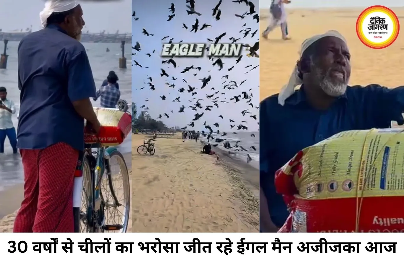 30 साल से हर दिन चीलों को दाना खिला रहे 'ईगल मैन' अजीजका, एक सीटी पर उमड़ पड़ते हैं सैकड़ों शिकारी पक्षी