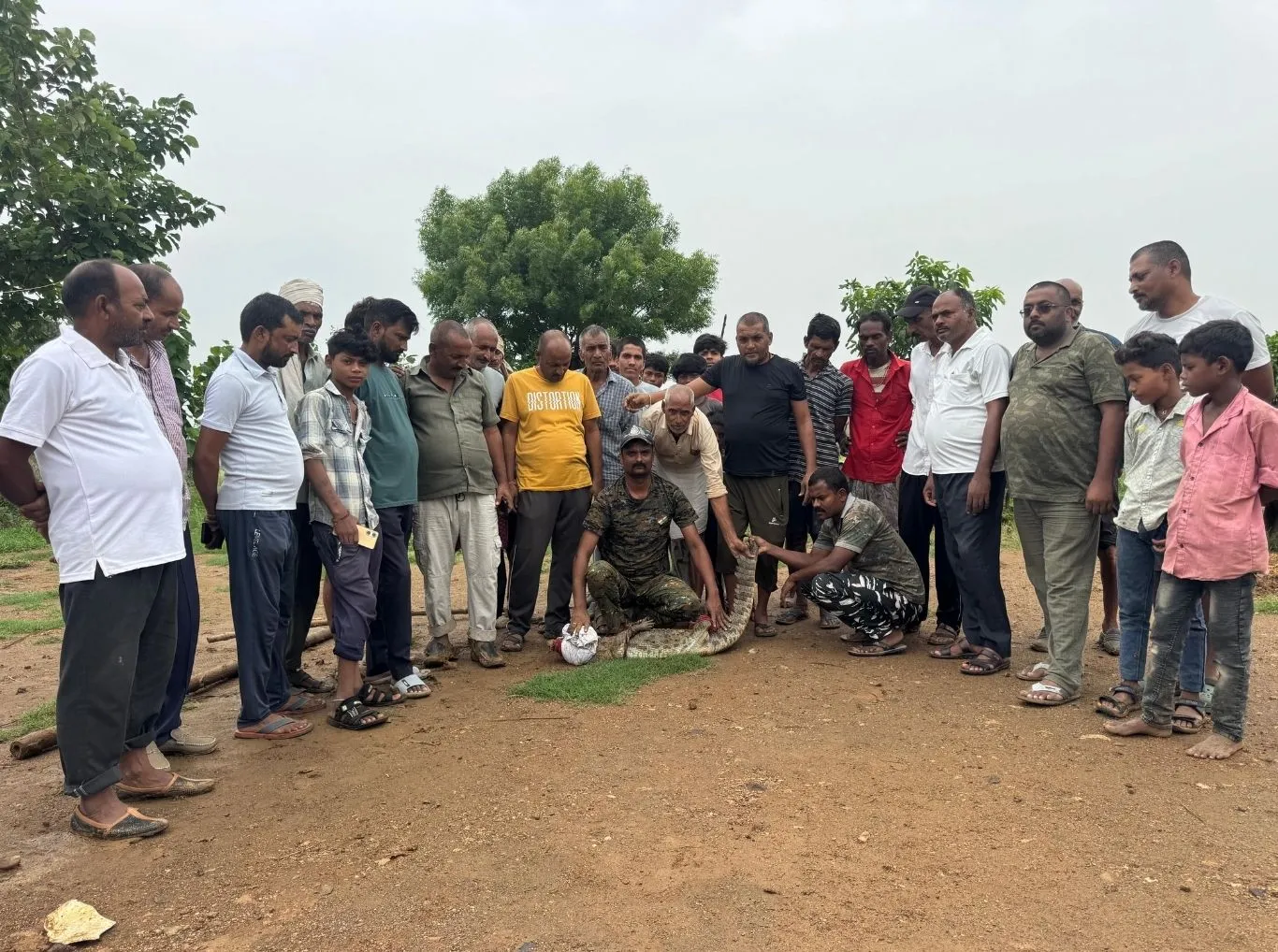 Forest Department