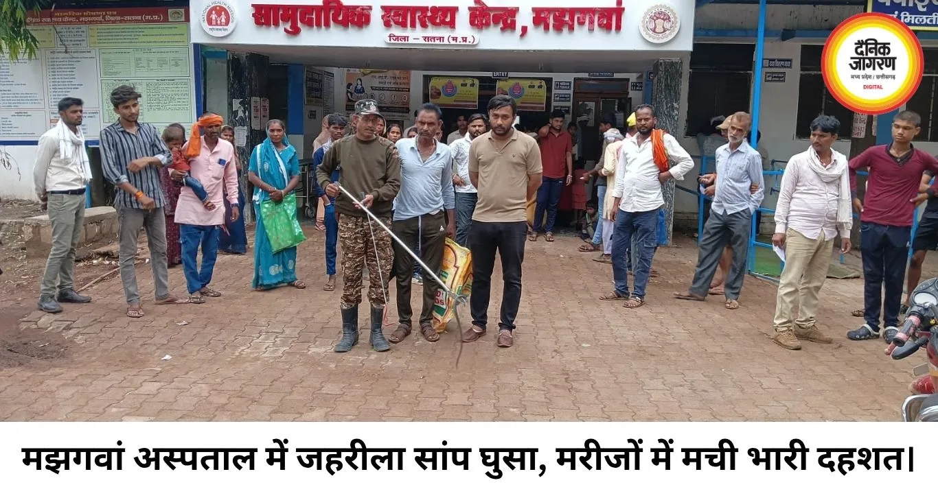 मझगवां अस्पताल के डॉक्टर कक्ष में घुसा जहरीला सांप, वन विभाग ने रेस्क्यू कर टाला बड़ा हादसा