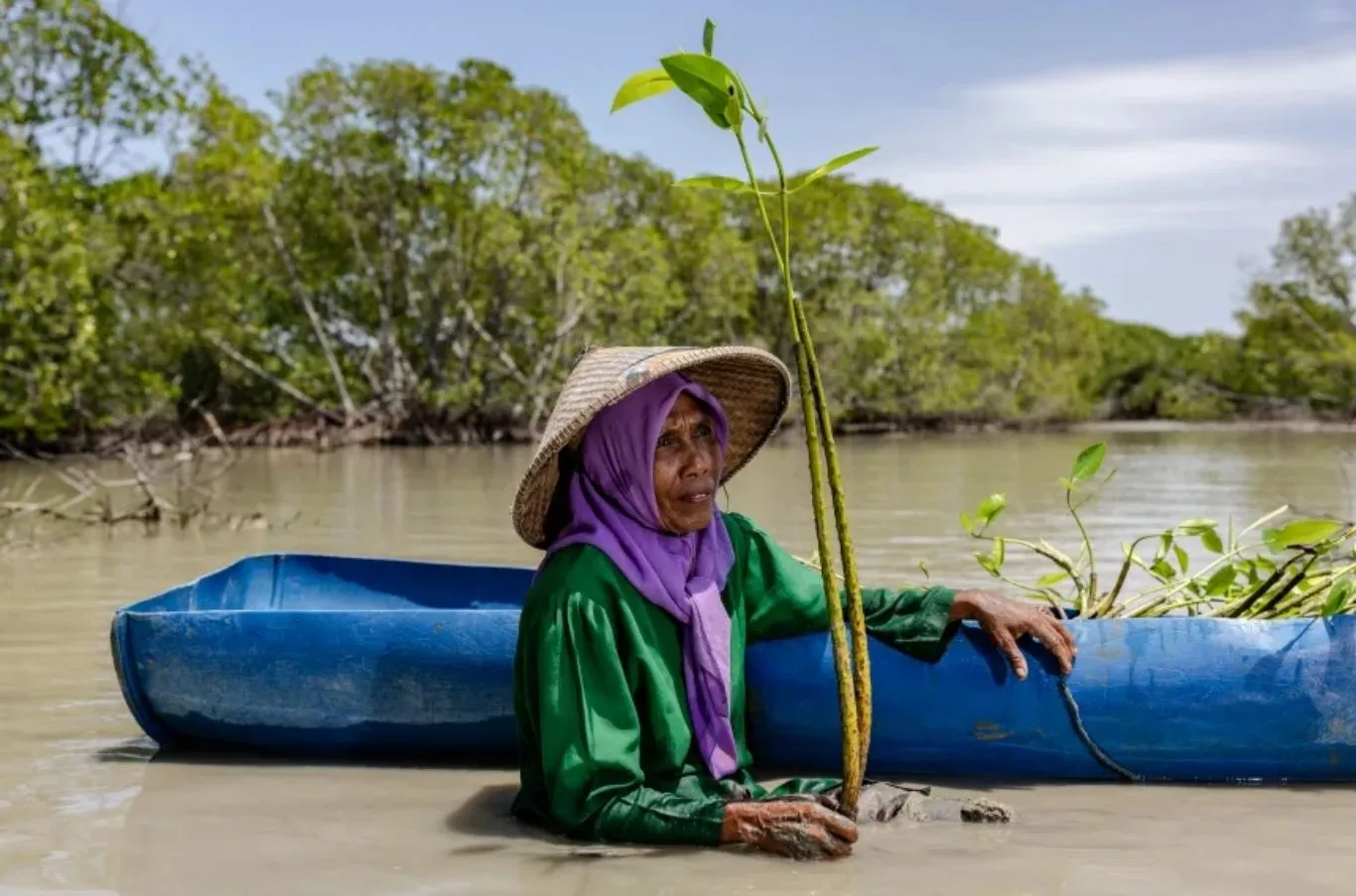 Mangrove Photographer of the Year 2026 (1)