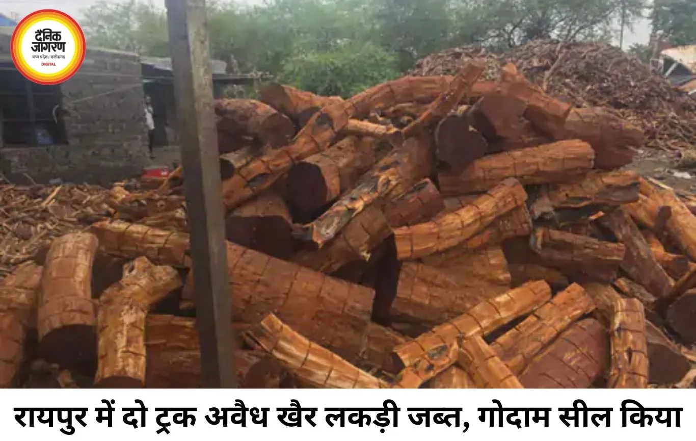 रायपुर में अवैध खैर लकड़ी का बड़ा भंडाफोड़, दो ट्रक से ज्यादा माल जब्त; तस्करी नेटवर्क की जांच तेज