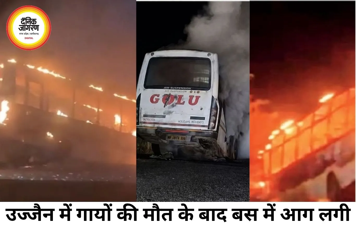 उज्जैन में दो गायों की मौत के बाद बस में तोड़फोड़, आग से वाहन जलकर खाक