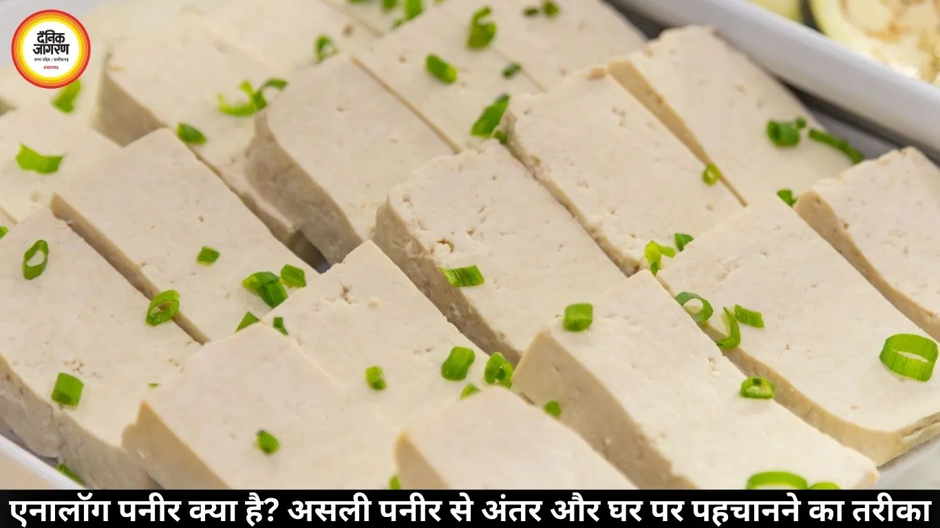 एनालॉग पनीर क्या है? असली पनीर से अंतर और घर पर पहचानने का तरीका